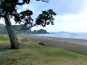 whangarei (12)